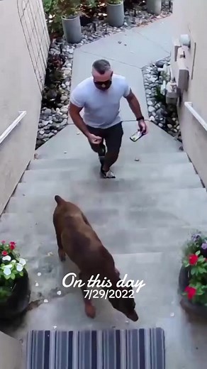 23M views · 10K reactions | 7-29-22 The last photos, selfies and video of Ruby  | Rubydoobydo | Facebook