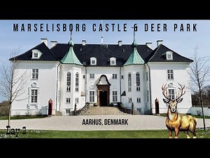 Aarhus Deer Park | Marselisborg Castle | Infinity Bridge | Aarhus Series | EP 3