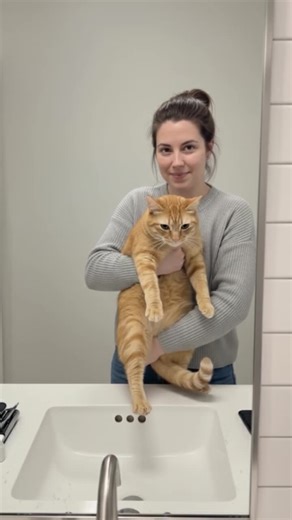 Why me🧽🫧 #funnycat #cattok #grumpycat #petcomedy #fyp