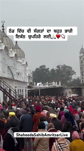THAND VICH V CHOPEHRA SAHIB LAYI SANGATA DA BHARI .. #shaheedasahibamritsarlive #shaheedasahiblive