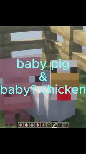 Minecraft- 2 (revised version) #minecraft #chicken #axolotl #jeb #rainbowsheep