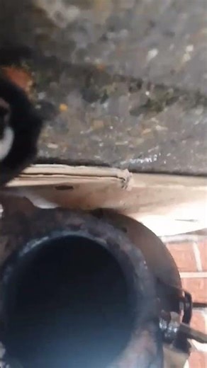 car DPF sensors looks like it might not want to come off