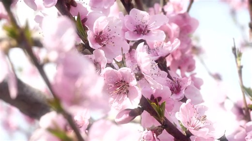 edep (@edep_19770) adlı kullanıcının orijinal ses - edep ile oluşturduğu videoları