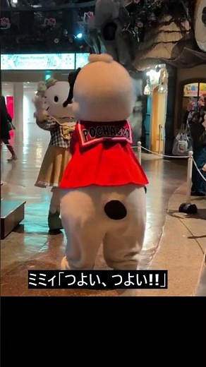 キティミミィポチャッコ・涼しくなぁれーの巻【ウェルカムグリーディング】＃サンリオピューロランド#キティ