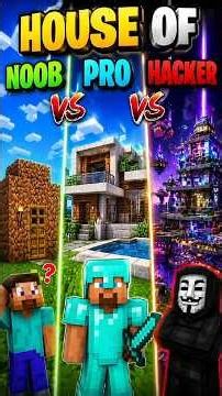 Noob vs pro vs hacker house