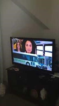 Me Singing J.G Wentworth 877 Cash Now Song On TV 📺 💰 💵 💷