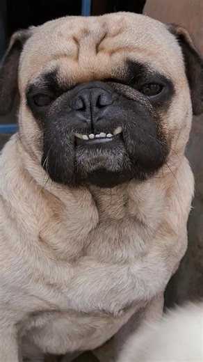 Understanding Security Basics