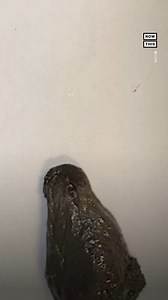 487K views · 3K reactions | This slime robot might be able to help kids who’ve swallowed small items like batteries — here’s how ⚡️ | NowThis | Facebook