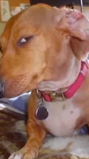 30K views · 951 reactions | Home to a thousands of unique accessories #NewSpecies! there is a whole new stock l! Swing by our shop anytime from 7am-10pm everyday to get your new phone! www.thenewspecies.com or Call/WhatsApp +250788881444#fyp | New Species | Facebook