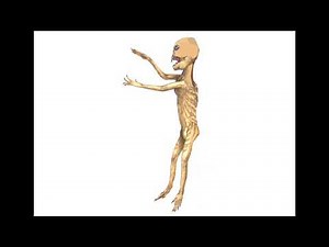 All Todays - Vampire (Sound Effects)