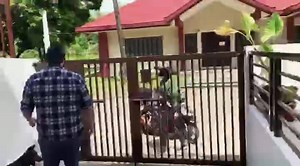 41 reactions | MILK TEA LOVERS!!! Is your milk tea brand cheating on...