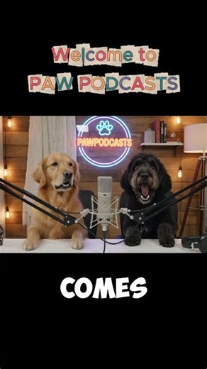 Dogs Finally Outsmart the Mailman 😂🐶 | Funny Talking Dogs Podcast #shorts