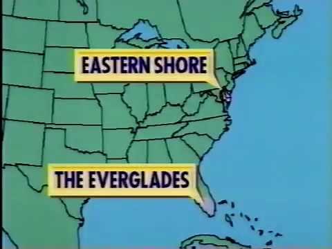 WITWICS? - Patty Larceny's Pink Lake Pinch (1993)