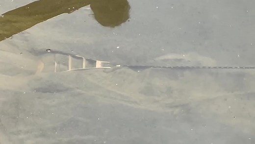 Pulling a Vryhof Stevshark Rex anchor (20tons version) with about 2kg bullard pull. (250 tons in original) | Maersk OSV Modelling