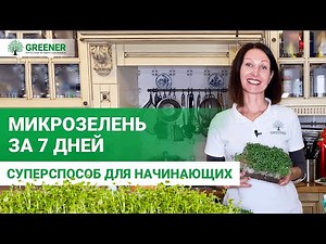 Выращивайте МИКРОЗЕЛЕНЬ ДОМА этим методом! 100% ВСХОЖЕСТЬ. МАСТЕР-КЛАСС от експерта!