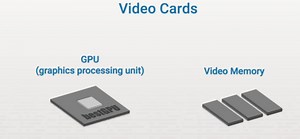 3.11.5 Video Cards Flashcards