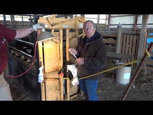 Moraxella bovoculi Autogenous - Addison Biological Laboratory Inc