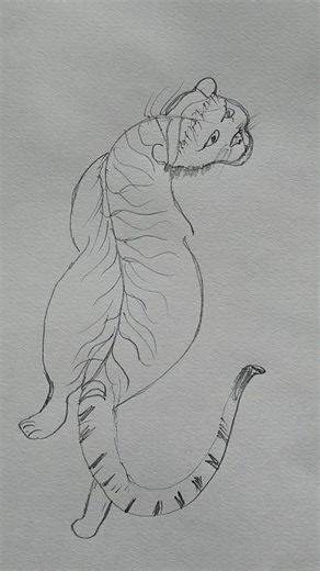 Very easy tiger drawing 🥰🐅🙏