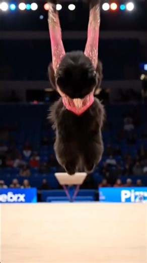 World Class Cat Gymnast