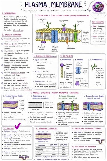 PLASMA MEMBRANE STRUCTURE AND FUNCTIONS | CELL BIOLOGY | CSIR-NET Life Sciences | COMPLETE ZOOLOGY