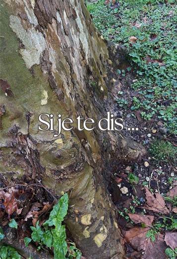 Tu trouveras le test de personnalité gratuit dans ma bio, sous forme de quiz. 😊 #creatif #multipotentialite #developpementpersonnel #HPE #mindset