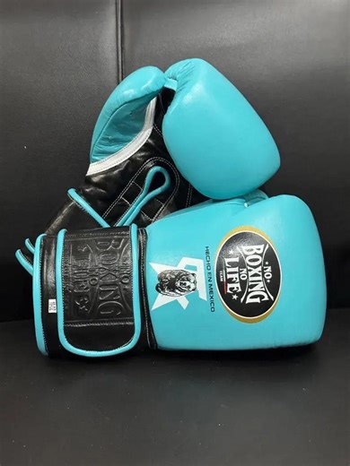 Personalized No Boxing No Life Glove: Training Sparring Gloves - Etsy Canada