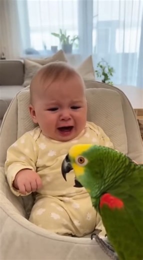 Parrot Imitates Crying Baby — Ends in Laughter 😂🦜👶 * * * #FunnyBaby #ParrotComedy #CuteMoment | Noman AI Story