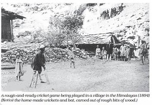 The Story of Cricket Class 7 Summary, Question Answers | Honeycomb Chapter 10