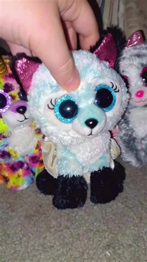 BACK WITH THE BEANIE BOOS #slushthehusky100 #beanieboos #beanieboosquad💗🧁 #beanieboos4life