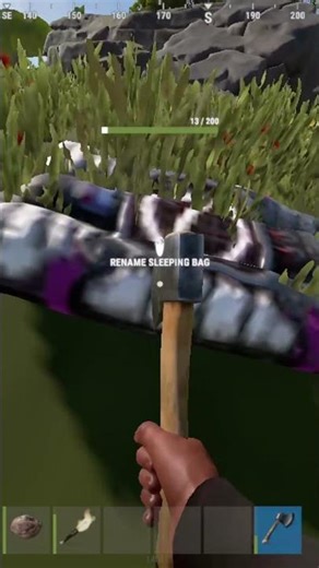 This Is Why You Hide Your Bags in Rust #shorts