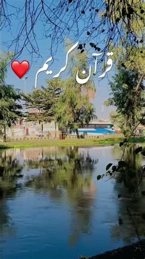 Surat Al Anaam ❤️ #shorts #islamicshorts #trending