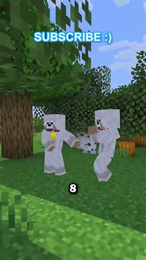 Minecraft Wolf Secret Buff!