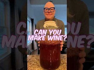 Easy Homemade Fruit Wine Tutorial: Beginner's Guide to Fermenting in 2025