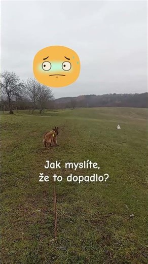 Minisukně nejen na pamlsky - pamlskovník/minisukně v jednom