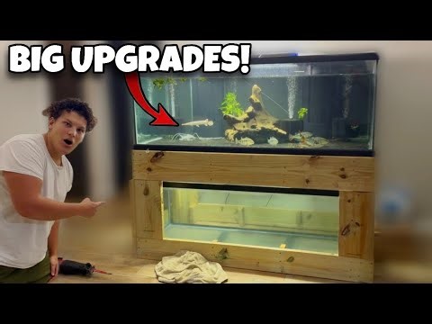 Fish Room Maintenance Day | Water Changes, Plumbing, and Tank Updates