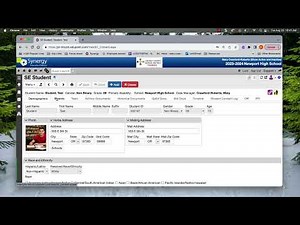 Basic Synergy Navigation for SE Users
