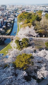 113 reactions · 15 shares | One of Japan’s most historic castles framed in floral hues Cherry Blossoms at Okazaki Castle https://www.aichi-now.jp/en/spots/detail/37/ #OkazakiCastle is the birthplace of Japan’s famous unifier Tokugawa Ieyasu. Its rich history is complemented by countless alluring cherry blossoms each spring✨ Consider yourself invited to an unforgettable atmosphere殺 #JapaneseCastle #Castle #AichiNow | Aichi Now | Facebook