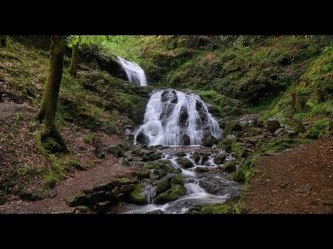 10 sehenswerte Wasserfälle im Schwarzwald - Top Ausflugsziele