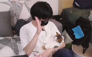 超治愈帮帮可爱合集