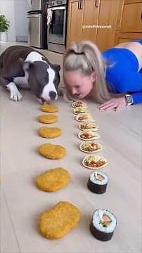 Dog vs Girl FAST EATING Challenge – Who Wins?!” 🐶👱‍♀️ #food #dog #eating #fasteating #eat #pitbull