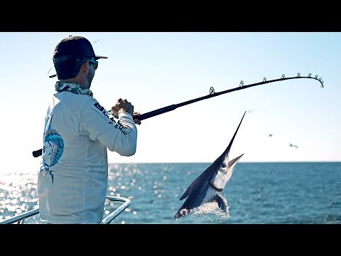 We Caught Over 100 Marlin in 24 Hours
