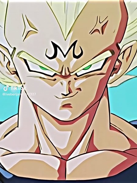 The Warrior Prince - Majin Vegeta SSJ2 Theme