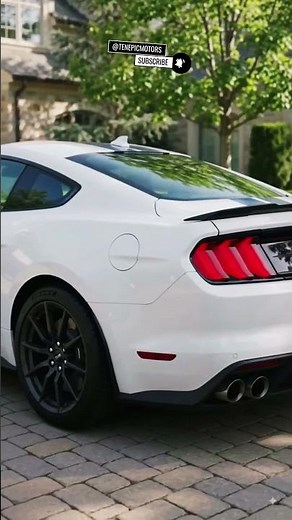 Ford Mustang Shelby GT350 2019: The 526 HP V8 Track Weapon 🏁🔥