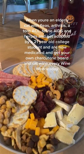 From Rags to Riches: The Journey of a Farm Cat | Cat Lady's Tale