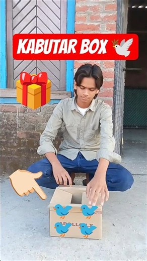 Kabutar box Open Kar Diya? 🤯 #shorts #kabutar