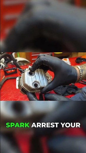 Spark Arrestor Check Saves Your Saw #chainsaw #maintenance #performance