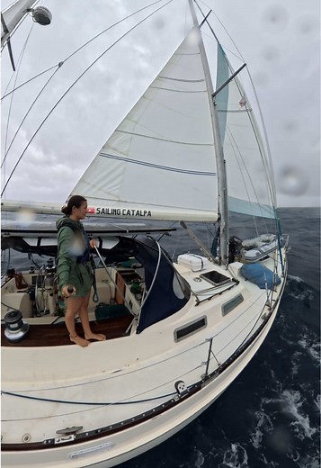 Pacific Ocean sailing day 5: boat life across the Pacific