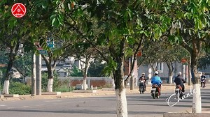 58K views · 1.1K reactions | Bờ Hồ Sen năm 2021 | Huyện Krông Ana | Facebook