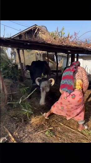 nakka nepali traditional culture