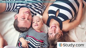 The Basic Nature of Life